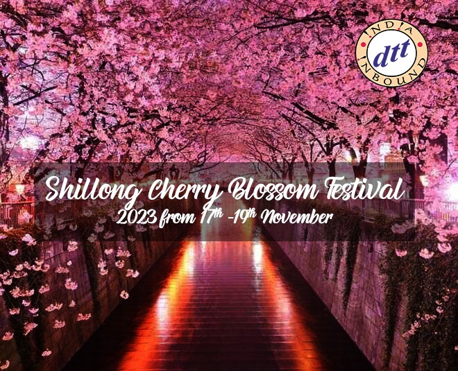 Shillong Cherry Blossom Festival 2023