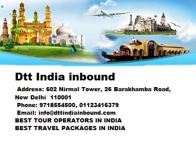 Wellness tour package in India